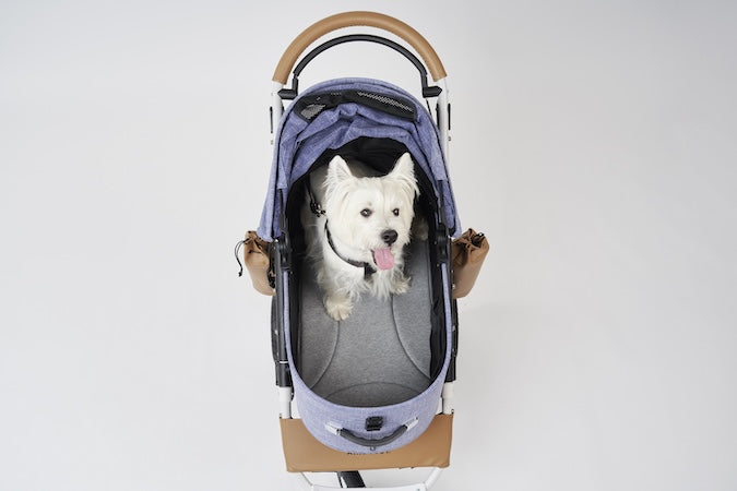 AirBuggy DOME 3 MAT LARGE – LIGHT GREY - Buggy - SpirePets