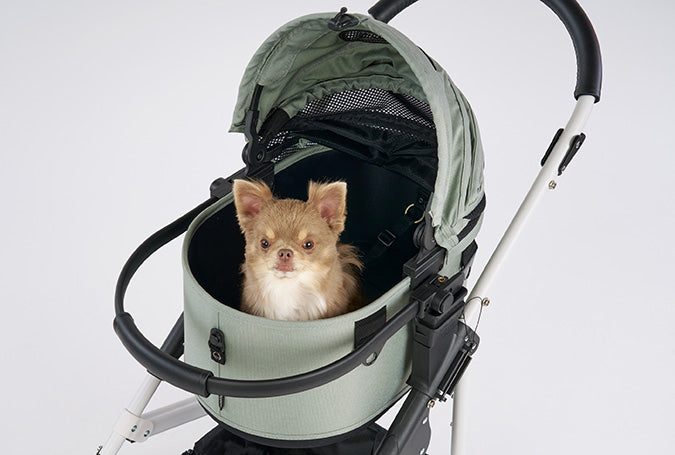 AirBuggy Dome 3 SMALL COT - MOSGROEN - Autostoel voor dieren - SpirePets