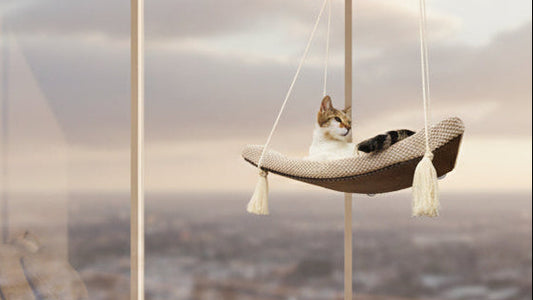 "The Arcing View" 75 cm Cat Shelf, metal base