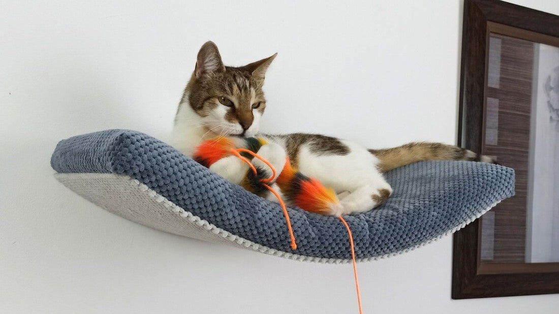 "The Arcing Haven" 60 cm Cat Shelf, metal base
