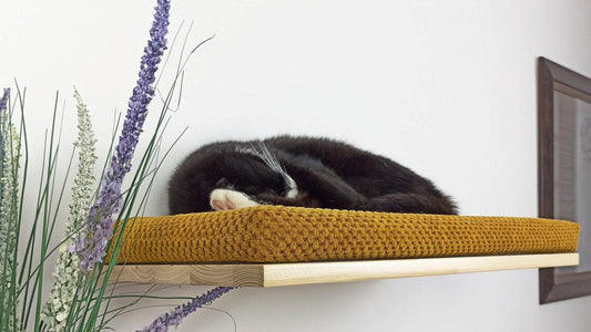 "The Cozy Nook" 60 cm Cat Shelf, wood base