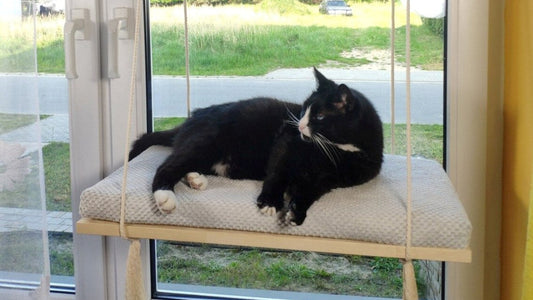 Cat Window Shelf – The Sunny Spot 75 cm