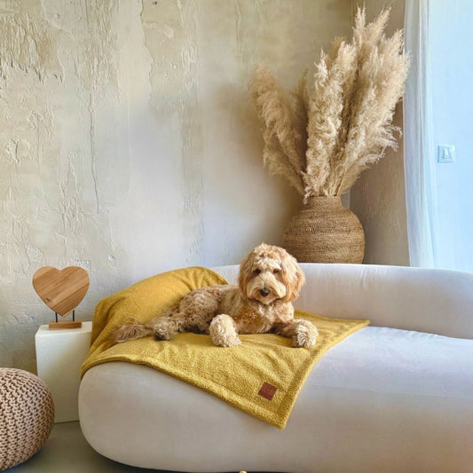 Pet Blanket "Belluno" Mustard