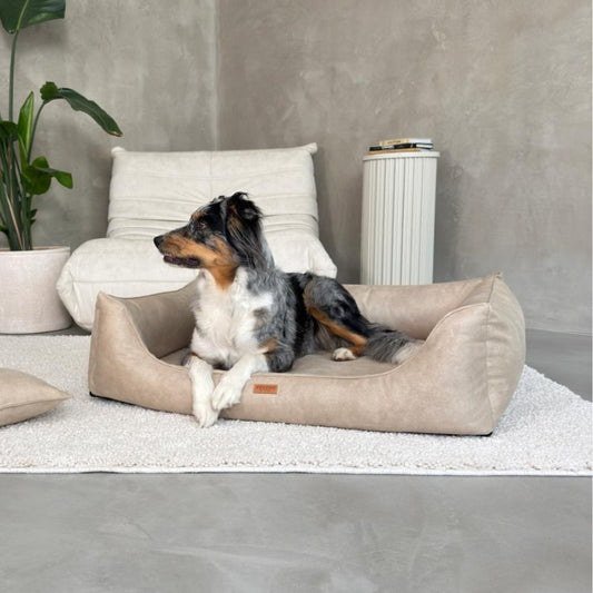 Orthopedic Dog Bed "BERGAMO" Beige - Dog beds - Sissys Pet Place
