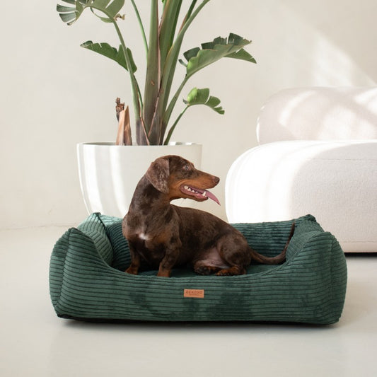 Orthopedic Dog Bed "RIMINI" Bottle Green
