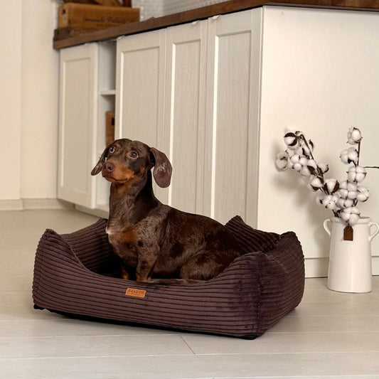 Orthopedic Dog Bed "RIMINI" Brown