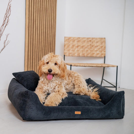 Orthopedic Dog Bed "PRATO" Black - Dog beds - Sissys Pet Place