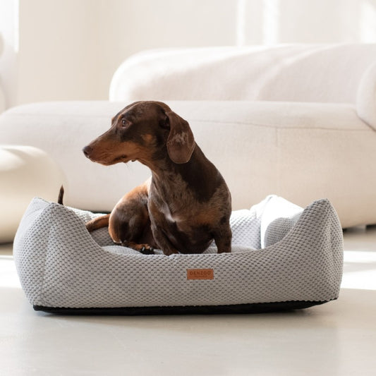 Orthopedic Dog Bed "PRATO" Grey - Dog beds - Sissys Pet Place
