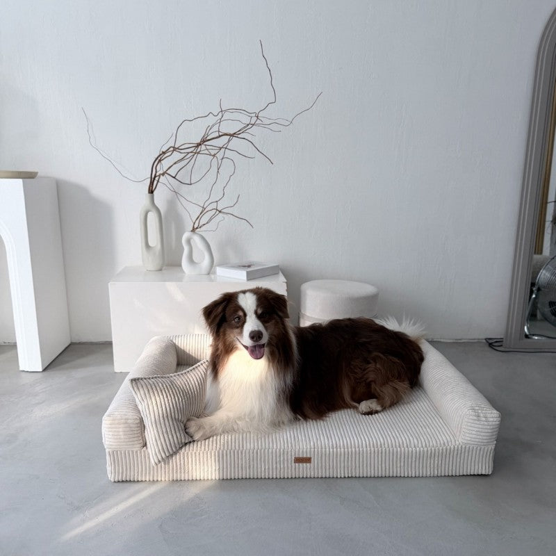 Orthopedic Dog Bed "PARMA" Beige