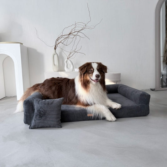 Orthopedic Dog Bed "PARMA" Dark Grey