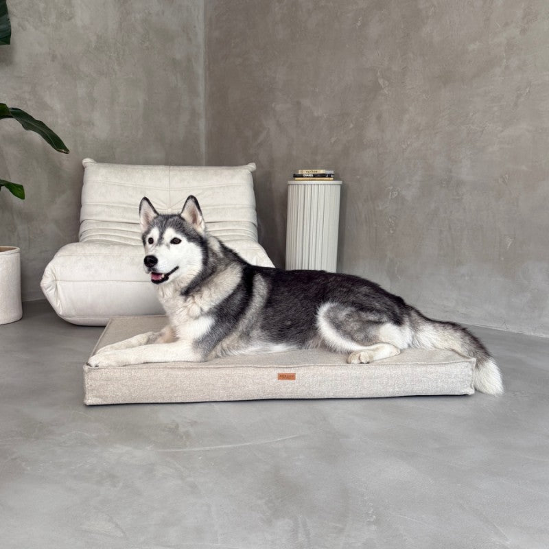 Orthopedic mattresses "Roma" Beige - Dog beds - Sissys Pet Place