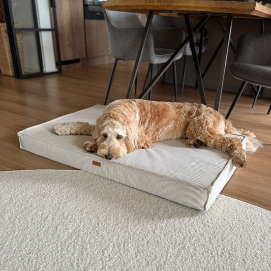 Orthopedic mattresses "Torino" Beige - Dog beds - Sissys Pet Place