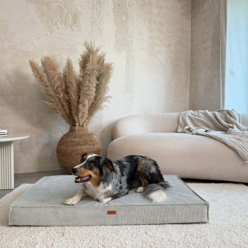 Orthopedic mattresses "Torino" Grey - Dog beds - Sissys Pet Place