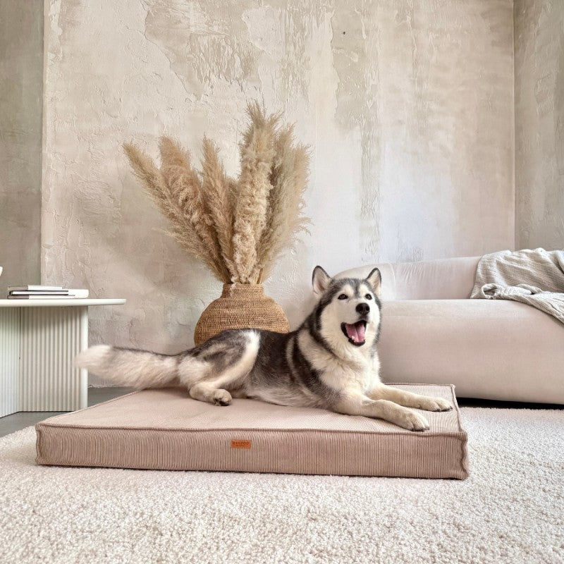 Orthopedic mattresses "Torino" Dark Beige - Dog beds - Sissys Pet Place