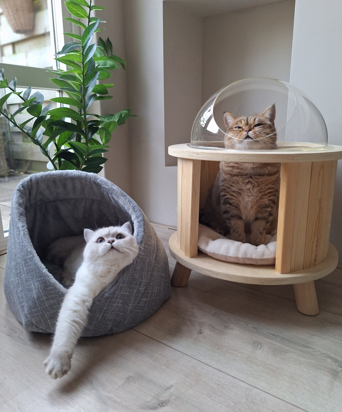 Momo kattenbed - kattenmand - kattenmand - SpirePets