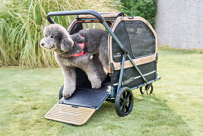 AirBuggy AIR CRUISER Seed Beige – Hondenwagen voor Zware Honden en XXL Rassen - Buggy - SpirePets