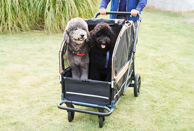 AirBuggy AIR CRUISER Seed Beige – Hondenwagen voor Zware Honden en XXL Rassen - Buggy - SpirePets