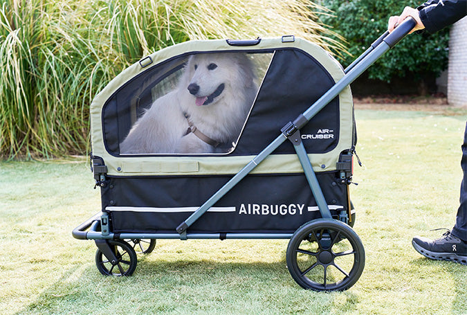 AirBuggy AIR CRUISER Seed Beige – Hondenwagen voor Zware Honden en XXL Rassen - Buggy - SpirePets