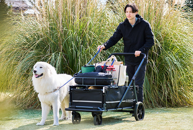 AirBuggy AIR - CRUISER – De Ultieme Premium Hondenbuggy voor Grote Rassen - Buggy - SpirePets