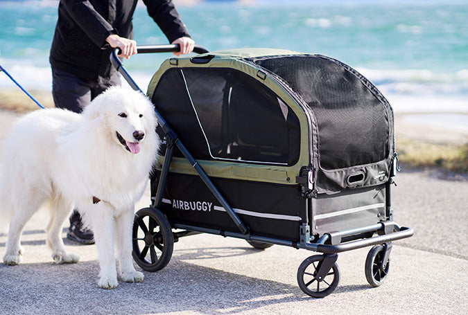 AirBuggy AIR CRUISER Seed Beige – Hondenwagen voor Zware Honden en XXL Rassen - Buggy - SpirePets