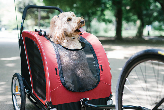 AirBuggy Cube Nest – pet buggy for cats or dogs - Buggy - SpirePets