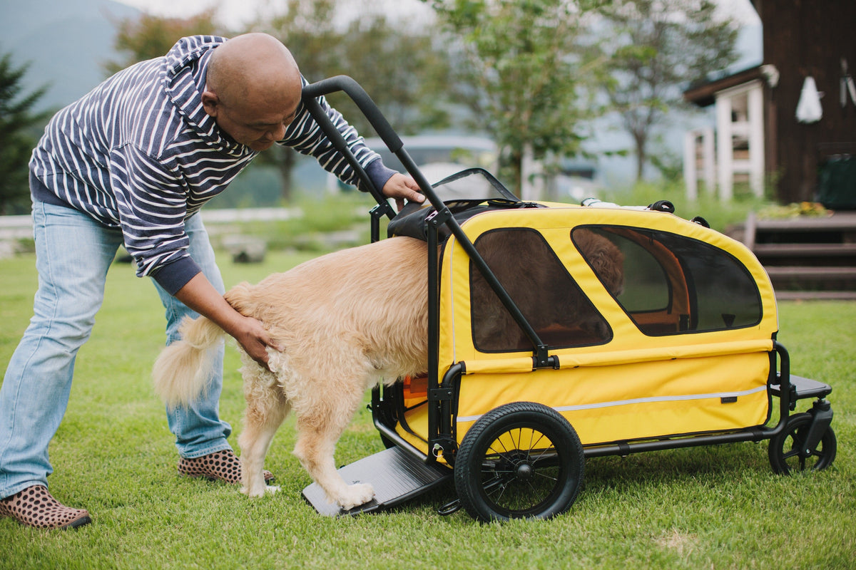 Grote honden buggy AIRBUGGY Carriage Set Moss Green – Luxe Hondenbuggy - Buggy - SpirePets