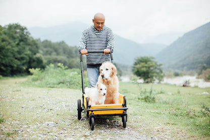Grote honden buggy AIRBUGGY Carriage Set Moss Green – Luxe Hondenbuggy - Buggy - SpirePets