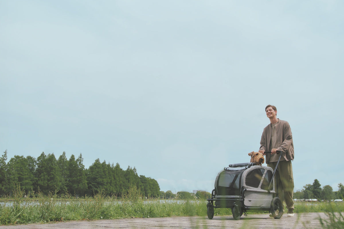 Grote honden buggy AIRBUGGY Carriage Set Moss Green – Luxe Hondenbuggy - Buggy - SpirePets