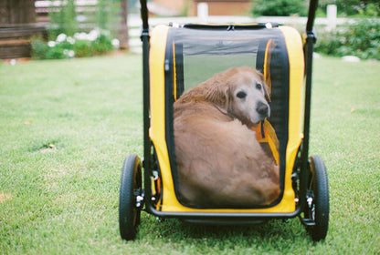 Grote honden buggy AIRBUGGY Carriage Set Moss Green – Luxe Hondenbuggy - Buggy - SpirePets