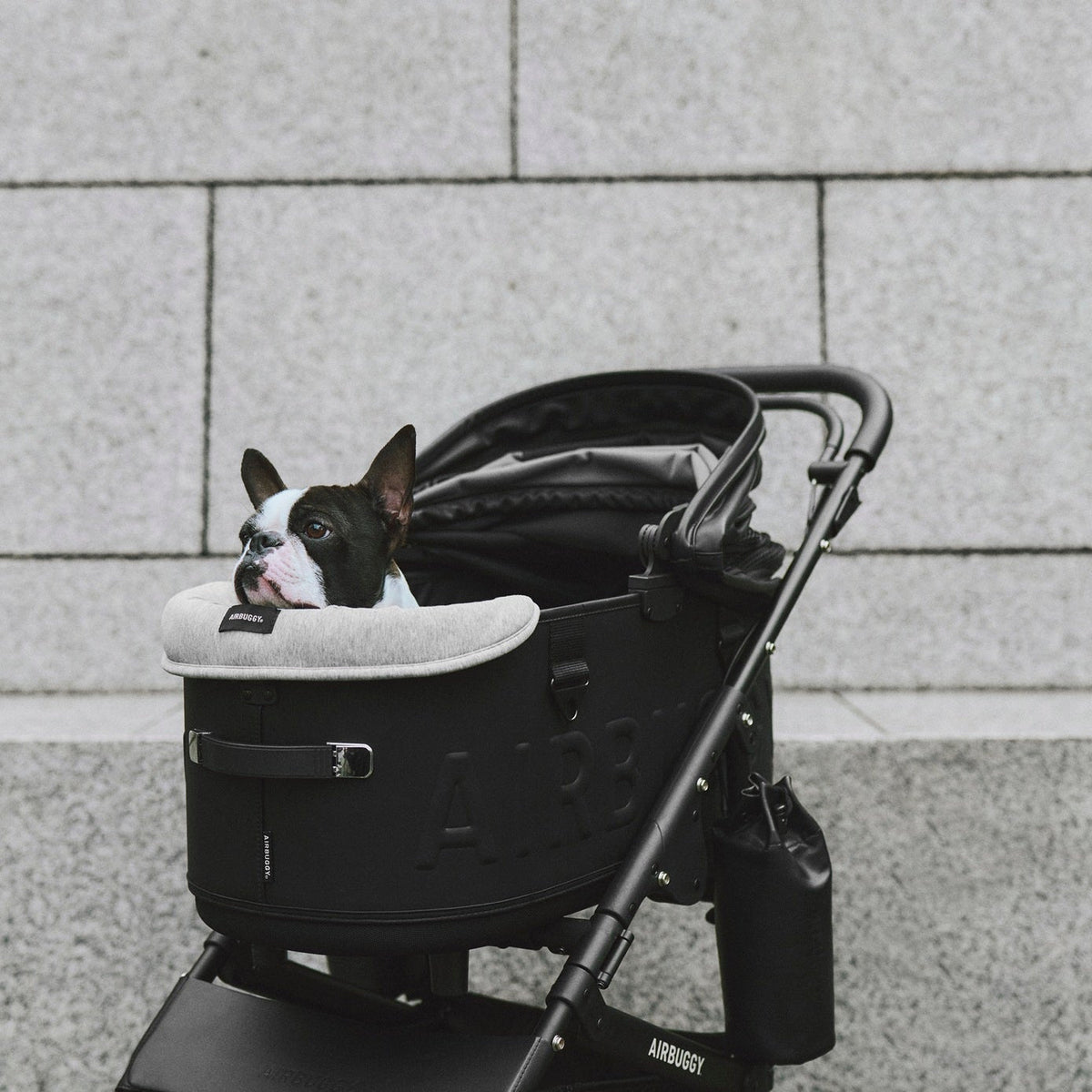 AirBuggy DOME 3 Premier Large Black Si Luxe dog buggy - Buggy - SpirePets