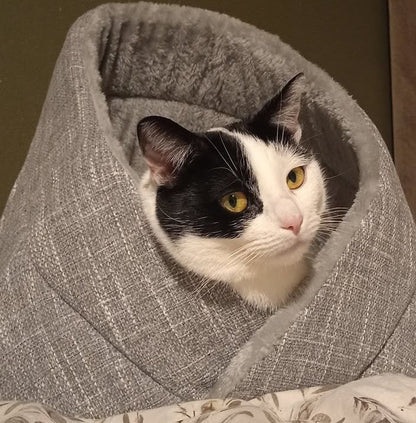 Momo kattenbed - kattenmand - kattenmand - SpirePets