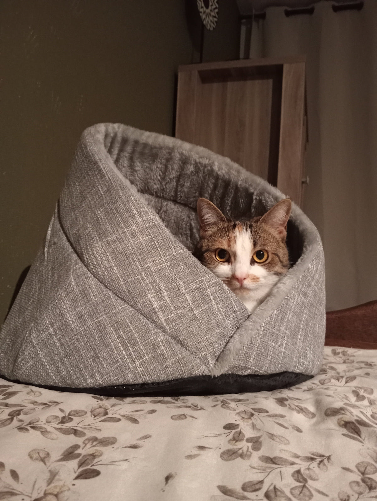 Momo kattenbed - kattenmand - kattenmand - SpirePets