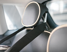 DOME 3 autobevestiging (ISOFIX riem) voor AirBuggy - Autoriem - SpirePets