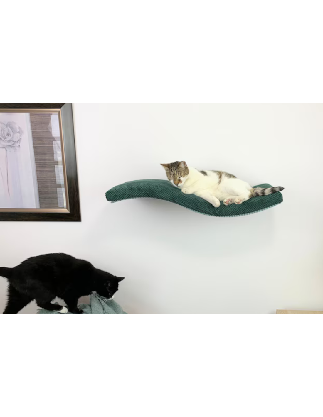 Cat Shelf - Playful Curve Left 95