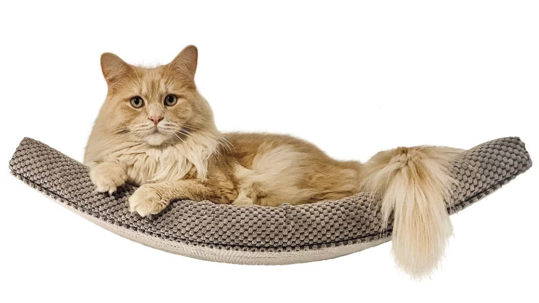 "The Arcing Haven" 60 cm Cat Shelf, metal base