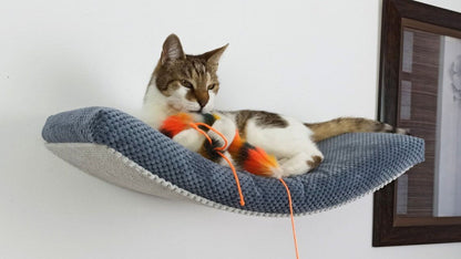 "The Arcing Haven" 60 cm Cat Shelf, metal base