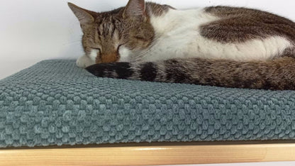 "The Cozy Nook" 60 cm Cat Shelf, wood base