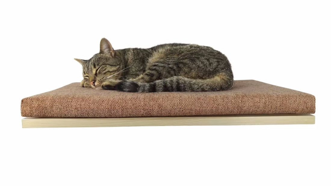 "The Cozy Nook" 60 cm Cat Shelf, wood base