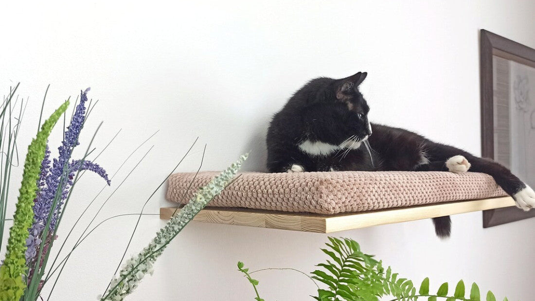 "The Cozy Nook" 60 cm Cat Shelf, wood base