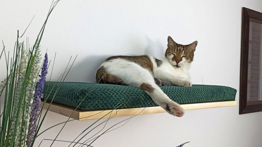 "The Cozy Nook" 75 cm Cat Shelf, wood base