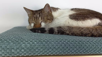 "The Cozy Nook" 75 cm Cat Shelf, wood base