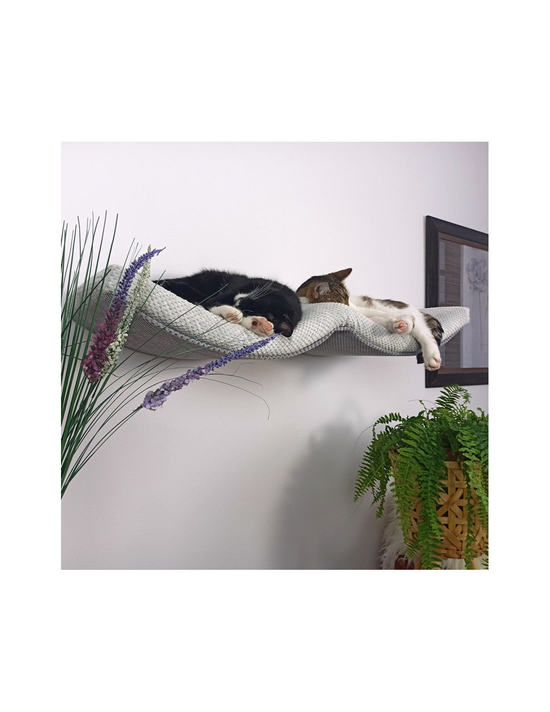 Cat Shelf – The Double Arch Haven 100 cm