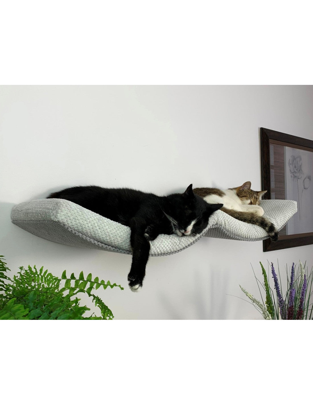 Cat Shelf – The Double Arch Haven 100 cm