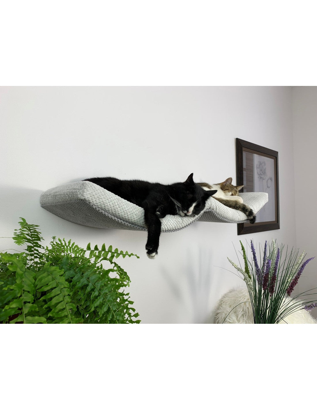 Cat Shelf – The Double Arch Haven 100 cm
