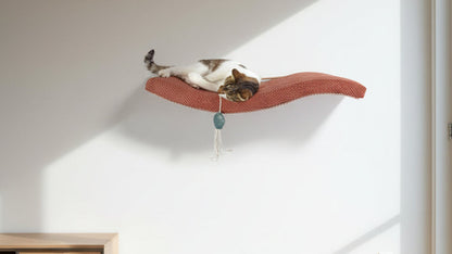 Cat Shelf – The Arcing Haven 75 cm