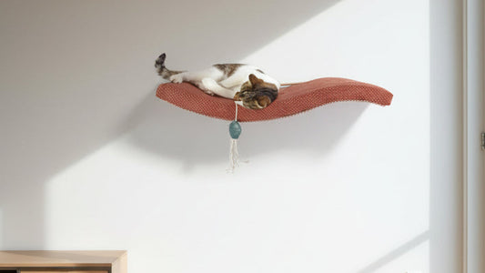 Cat Shelf – The Arcing Haven 75 cm