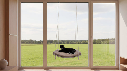 "The Arcing View" 60 cm Cat Shelf, wood base