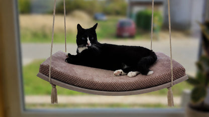 "The Arcing View" 60 cm Cat Shelf, wood base