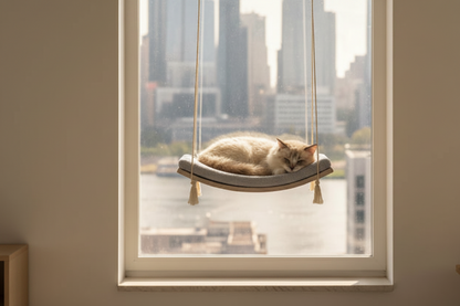 "The Arcing View" 60 cm Cat Shelf, wood base