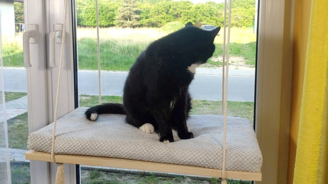 Cat Window Shelf – The Sunny Spot 75 cm